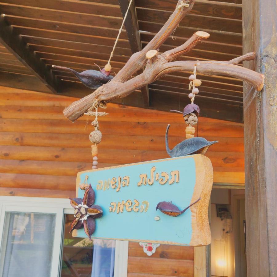 Lodge Libi Bamidbar, Healing & Relaxation In The Dead Sea Neot HaKikar